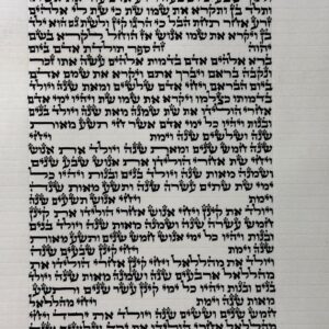 ספר תורה ספרדי מהודר גודל 36 סמ למכירה