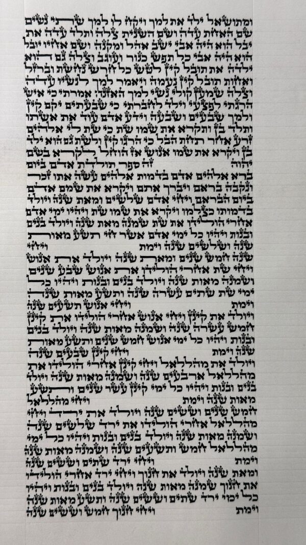 ספר תורה ספרדי מהודר גודל 36 סמ למכירה