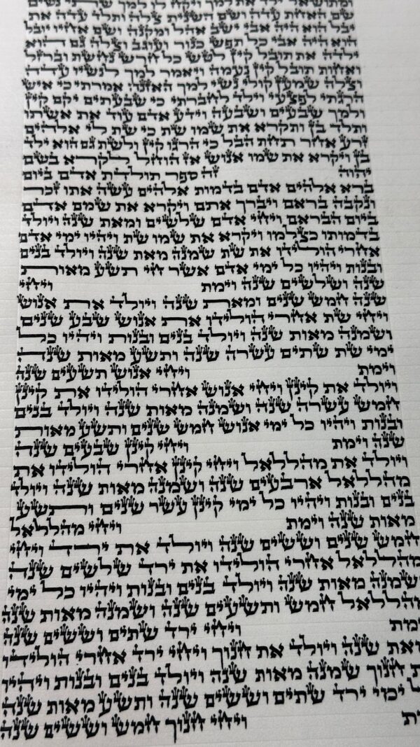 ספר תורה ספרדי מהודר
