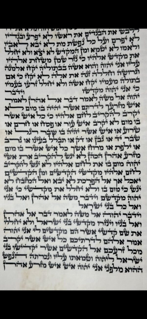 ספר תורה ספרדי מהודר